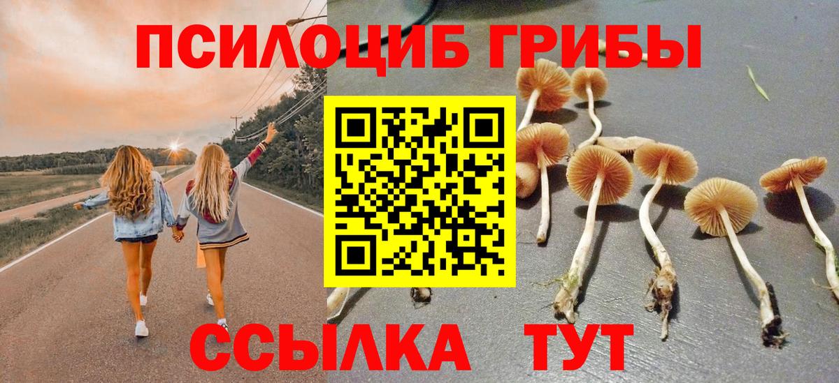 Псилоцибиновые грибы ЛСД  Вход с VPN  Артём 