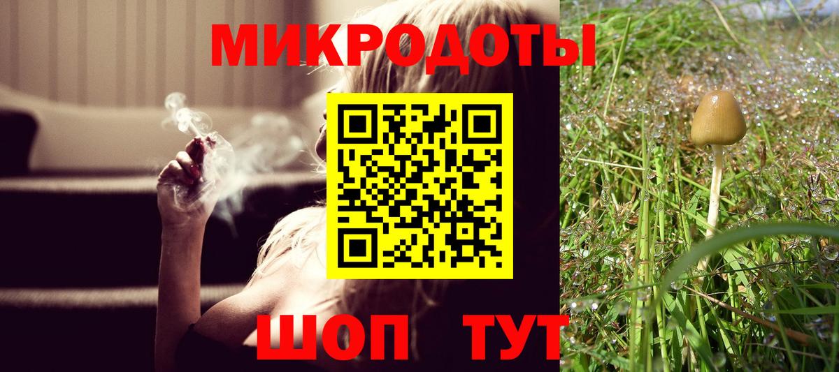Псилоцибиновые грибы GOLDEN TEACHER Артём